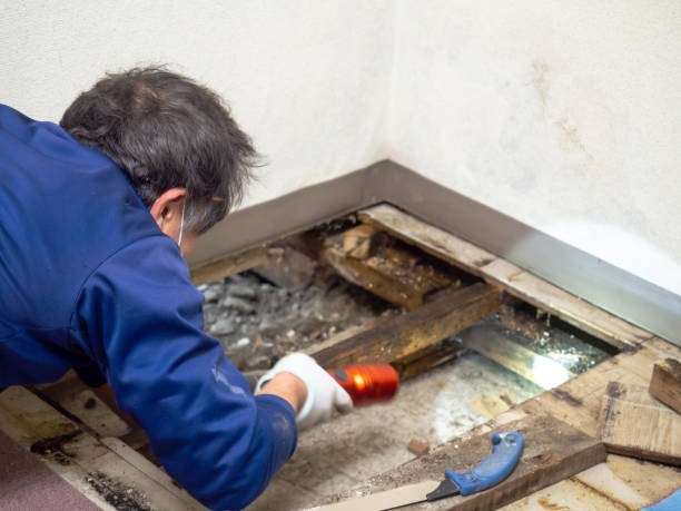 Best Industrial Mold Remediation in Summit View, WA